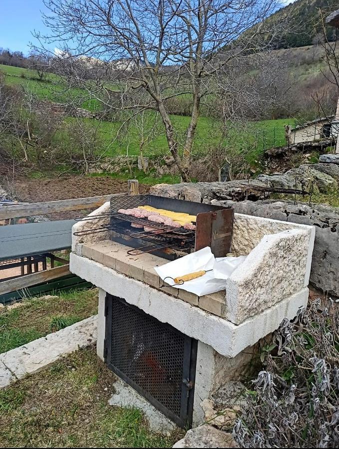 Casa Vallenari Holiday home Selvavecchia